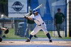 Baseball vs Babson  Wheaton College Baseball vs Babson during Semi final game of the NEWMAC Championship hosted by Wheaton. - (Photo by Keith Nordstrom) : Wheaton, baseball, NEWMAC